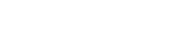 VoiceSpin logo